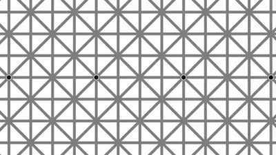 Tes Ilusi Optik Aneh: Berapa Banyak Titik Hitam yang Kamu Lihat? Si Jenius Pasti Tahu