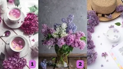 Tes Psikologi: Pilih Salah Satu Bunga Lilac Ini dan Cari Tahu Apa Luka Batin yang Kamu Alami Saat Ini