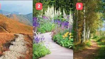 Tes Psikologi: Apa Kelebihan Terbesar Karaktermu? Coba Pilih Salah 1 Jalur Ini, Pegunungan, Taman Bunga atau Hutan