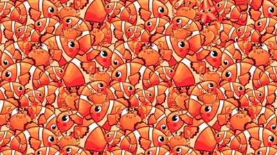 Tes IQ: Ayo Coba Temukan 1 Bintang Laut yang Bersembunyi di Antara Ikan Nemo dan Kepiting Lucu Ini, Waktumu 10 Detik!