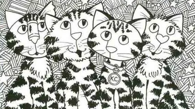 Tes IQ Ilusi Optik: Bisakah Kamu Menemukan Potongan Pizza yang Tersembunyi di Gambar Kucing dalam Waktu 12 Detik?