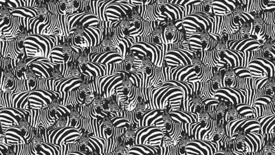 Tes Ilusi Optik: Hanya 1 Persen Orang yang Bisa Menemukan Piano di Antara Zebra dalam Waktu 8 Detik! Kamu Termasuk? Buktikan!