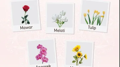 Tes Kepribadian: Apa Kata Bunga Favoritmu? Ungkap Kepribadianmu dengan Pilih Bunga yang Paling Kamu Suka