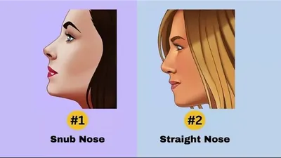 Bentuk Hidung Ternyata Dapat Mengungkap Kepribadian dan Tipe Pekerjaan yang Cocok Lho, Nomor 2 Paling Cocok Kerja di Media!