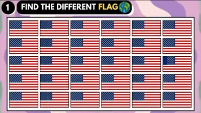 Tes IQ: Temukan Bendera Amerika Serikat yang Salah Dalam 10 Detik!