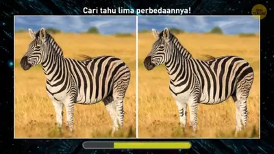 Tes IQ : Perhatikan Zebra Ini dan Temukan 5 Perbedaannya