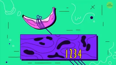 Tes IQ: Konsentrasimu Sedang Menurun? Coba Cari Tahu Tali Nomor Berapa Yang Mengikat Pisang dalam 10 Detik!