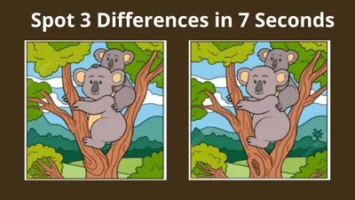 Tes Penglihatan: Seberapa Tinggi IQ Kamu? Temukan 3 Perbedaan pada Gambar Koala Duduk di Dahan Pohon Ini, Uji Kemampuan Analisamu