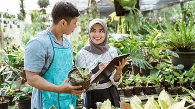  25 Perguruan Tinggi yang Memiliki Program Studi Tekpang Terbaik versi SIR 2024