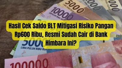 Hasil Cek Saldo BLT Mitigasi Risiko Pangan Rp600 Ribu, Resmi Sudah Cair di Bank Himbara Ini?