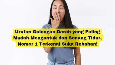 Urutan Golongan Darah yang Paling Mudah Mengantuk dan Senang Tidur