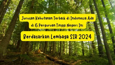 6 Universitas dengan Jurusan kehutanan terbaik di Indonesia 