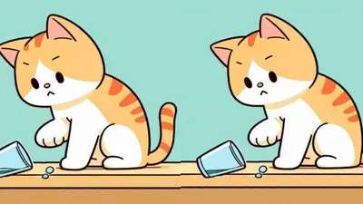 Tes IQ dengan cara menemukan perbedaan pada kedua gambar kucing yang sedang bermain gelas ini tentu membuat kamu bisa melatih fokus mata.