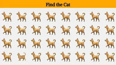 Tes Ilusi Optik: Ada 1 Kucing yang Bersembunyi pada Gambar Ini, Yuk Temukan Jawabannya dalam Waktu 10 Detik!