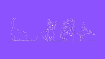 Illustrasi Tes Kepribadian