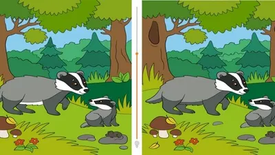 Tes Penglihatan: Sering Gagal Fokus? Yuk Latih Konsentrasimu dengan Cari 12 Perbedaan Dada Musang Ini