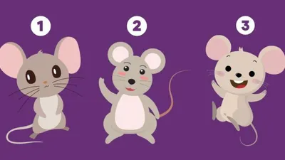 Tes Psikologi: Pilih 1 dari 3 Tikus Lucu Ini dan Ungkap Watak Asli Kamu Introvert atau Ekstrovert