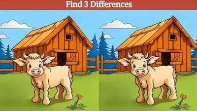 Tes IQ: Coba Temukan 3 Perbedaan pada Gambar Sapi di Kandang Peternakan Ini