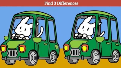 Tes IQ: Cari 3 Perbedaan pada Gambar Kelinci sedang Berkendara Ini