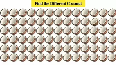 Tes Penglihatan: Ada Satu Gambar Kelapa yang Paling Berbeda, Bisa Temukan?