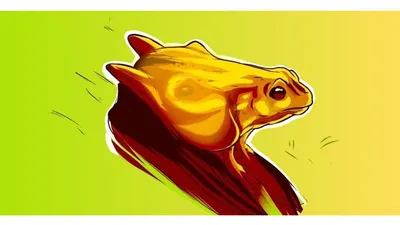 Tes Kepribadian: Katak atau Kuda Gambar yang Pertama Kamu LIhat?