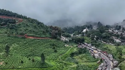Vibes Tenang di Puncak dengan Kopi Panas dari Sweet Burfee: Worth It Banget!