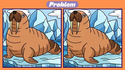 Tes IQ: Pertajam Keterampilan Observasi, Ayo Temukan 3 Perbedaan pada Gambar Walrus!