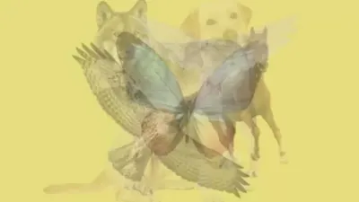Ilustrasi tes ilusi optik