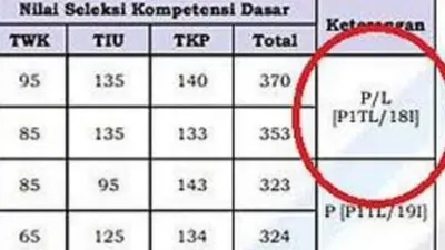 Dalam pengumuman hasil Seleksi Kompetensi Dasar (SKD) terdapat kode yang menunjukan lulus atau tidaknya peserta CPNS 2024 ke tahap SKB.