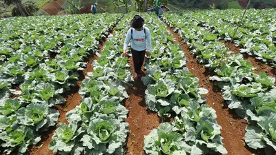 Cuan Terus Walau Gak Ngantor Lagi! Ini Dia 7 Ide Usaha untuk Pensiunan yang Gampang Dicoba: Mulai dari Modal Recehan hingga Modal Besar