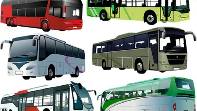 Ilustrasi bus