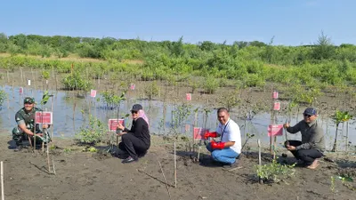 Aksi PNM Peduli Serahkan Sumur Bor untuk Warga Indramayu dan Tanam Mangrove Rhizophora
