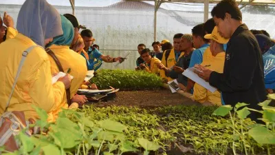 Begini Cara Cepat Kaya dari Bertani:  Anti Gengsi Cuan Pasti!