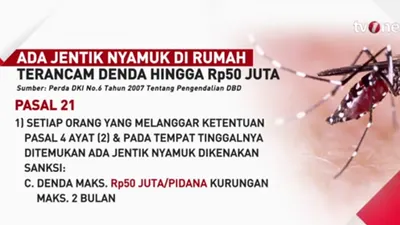 Denda hingga 50 Juta Rupiah Jika&nbsp;Ada Jentik Nyamuk di Rumah&nbsp;Warga Jakarta