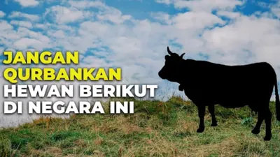 Kebiasaan Unik Menyambut Perayaan Idul Adha di Beberapa Negara, Ada yang Sama Persis dengan Tradisi di Indonesia