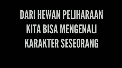 Cara Mengenali Kepribadian Seseorang Berdasarkan Hewan Peliharaan