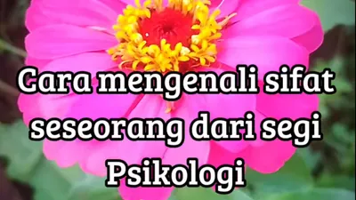 Cara Mengenali Kepribadian Orang Lain Menurut Tinjauan Psikologi, karena Perbuatan Lebih Bisa Dipercaya dari Pernyataan