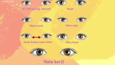 Cara Mengenali Kepribadian Seseorang Berdasarkan Bentuk Mata, Pemilik Mata Besar Ternyata Kreatif dan Romantis tapi...