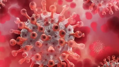 Dampak Penyebaran Kasus Virus Mpox di Sejumlah Benua, Pemerintah Indonesia Mulai Memperketat Pemeriksaan di Bandara