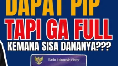 Ilustrasi PIP
