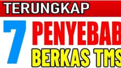 Besarnya tingkat verifikasi pelamar PPPK tahun 2024 yang berstatus TMS, ditengarai karena mengabaikan sejumlah variabel penting.