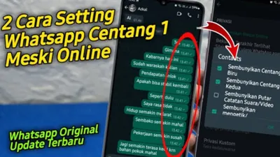 Laporan Pesan Centang Satu tapi Online? Inilah Dua Langkah Mudah Menyamarkan Status Online dari Pengguna WhatsApp Lain