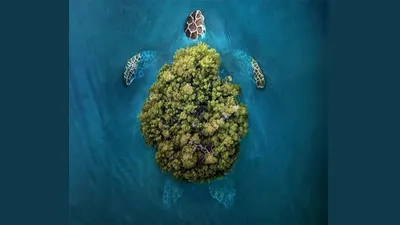 Ilustrasi Tes Kepribadian 
