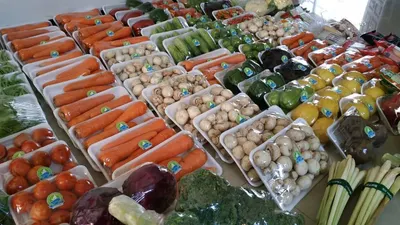 8 ide bisnis kecil