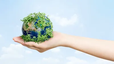Ilustrasi. Ide Usaha Go Green