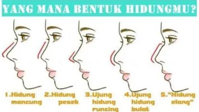 Kepribadian berdasarkan bentuk hidung