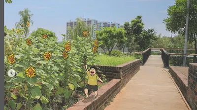 Bunga Matahari di Taman Rotanusa, Jakarta