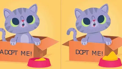 Tes Penglihatan: Coba Temukan 3 Perbedaan pada Anak Kucing dalam Box Ini, Uji Ketajaman Mata Kamu