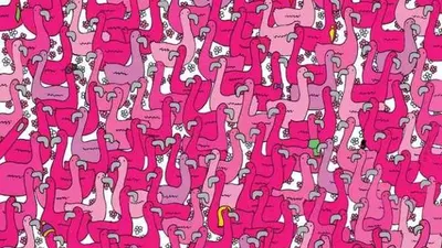 Untuk bisa menemukan hati di dalam kumpulan flamingo pada tes penglihatan kali ini, membutuhkan kemampuan penalaran yang baik.