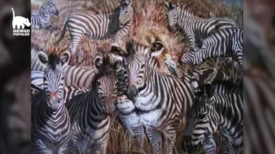Tes Kepribadian: Burung, Zebra atau Singa? Hewan Pertama yang Dilihat Tunjukkan Karaktermu!